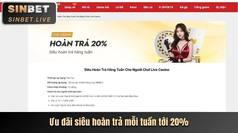 Hình ảnh hoàn trả tiền mặt với chồng tiền và biểu tượng mũi tên